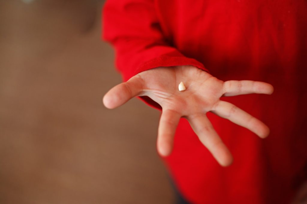 Closeup of a tooth in child’s hand.